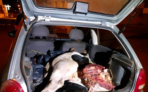 Motorista é detido com partes de vaca em carro na Rodovia Cândido Portinari