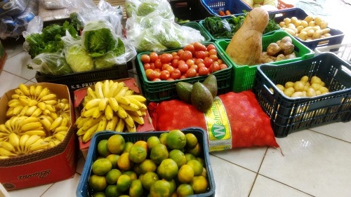 Frutas e verduras da agricultura familiar são compradas e doadas pela Conab 