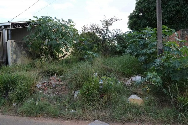Vigilância notifica 390 donos de terrenos sujos em vários bairros de Franca 