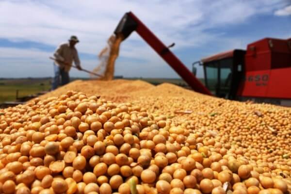 Exportação de soja de janeiro a julho é recorde e supera 70 milhões de toneladas