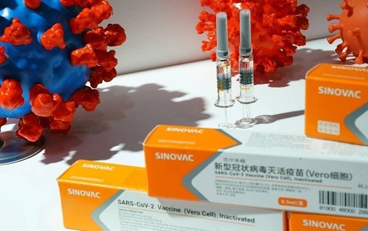 Anvisa autoriza importação de 6 milhões de doses da CoronaVac