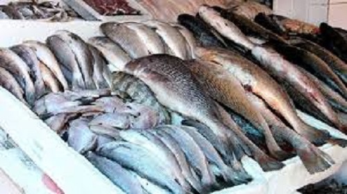 Ipem-SP alerta sobre os cuidados na compra de pescados e ovos de Páscoa