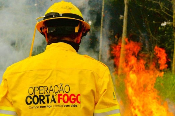 Operação Corta-Fogo: mais de R$ 83 milhões para combater incêndios