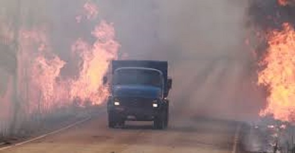 Junho Verde:  ViaPaulista alerta para os riscos de queimadas às margens da rodovia
