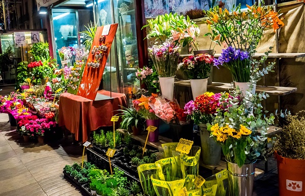Mercado de flores estima incremento de 8% nas vendas para o 