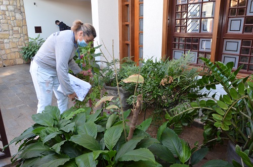 Agentes de saúde reforçam visitas casa a casa para prevenção da dengue