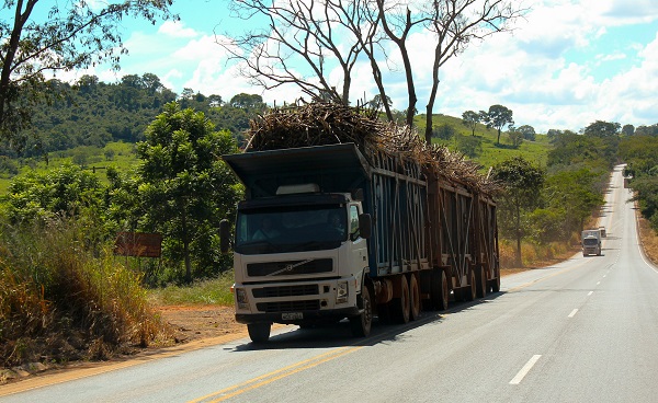 SP regulariza transporte de cana-de-açúcar em veículos de até 91 toneladas