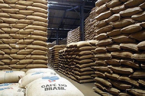 Exportações dos Cafés do Brasil totalizam 36,16 milhões de sacas no acumulado de 12 meses