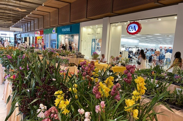 Franca Shopping recebe Feira de Orquídeas com variedades exclusivas