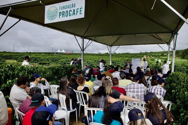 Procafé apresenta nova variedade de café e debate mais três temas em Dia de Campo