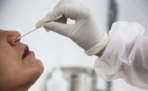 Cepa indiana do coronavírus está em mais de 50 nações, diz OMS