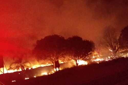 Incêndio em mata movimenta equipes dos Bombeiros na Rodovia João Traficante
