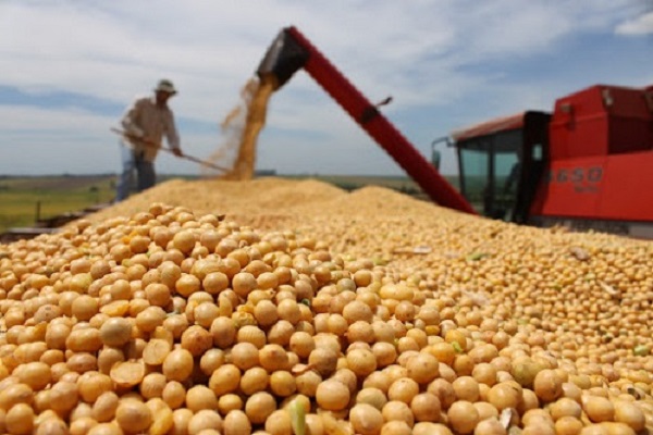 Conab aponta que Brasil deve produzir maior safra histórica de grãos