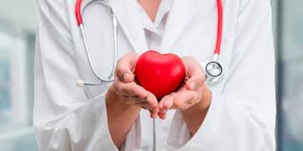 Câncer e coração: a importância do acompanhamento médico